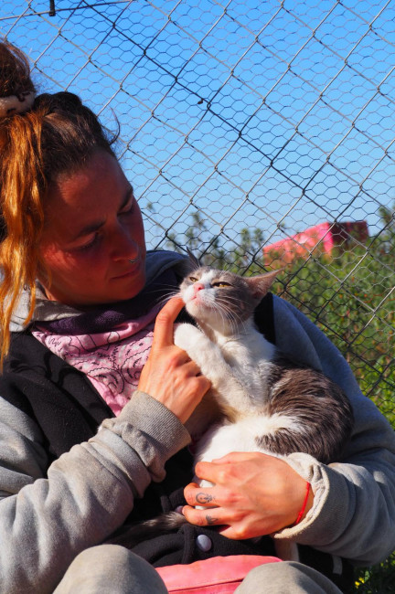 wendy kattze schmust m.fr. 2.2.23 